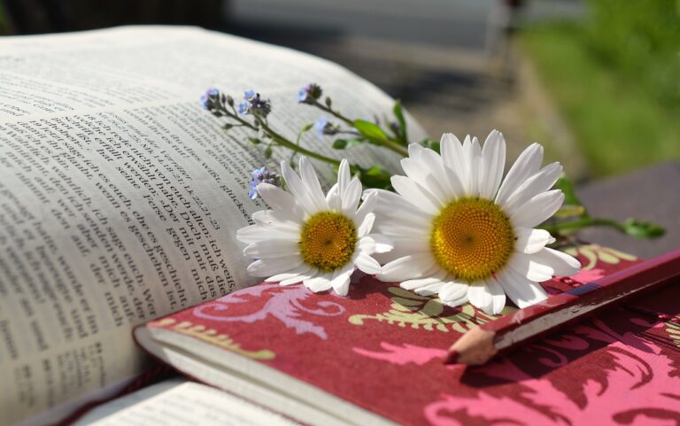 daisies, book, read